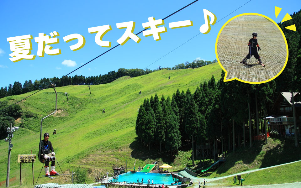 夏スキー│若杉高原おおやキャンプ場